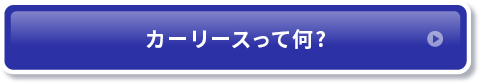 カーリースって何？