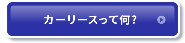 カーリースって何？