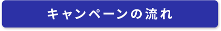 キャンペーンの流れ