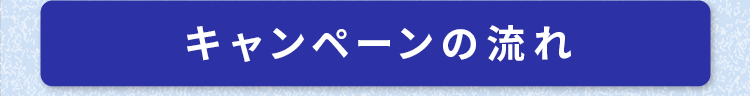 キャンペーンの流れ