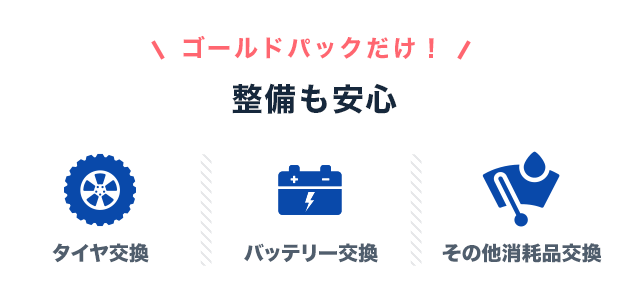 整備も充実したゴールドバック！